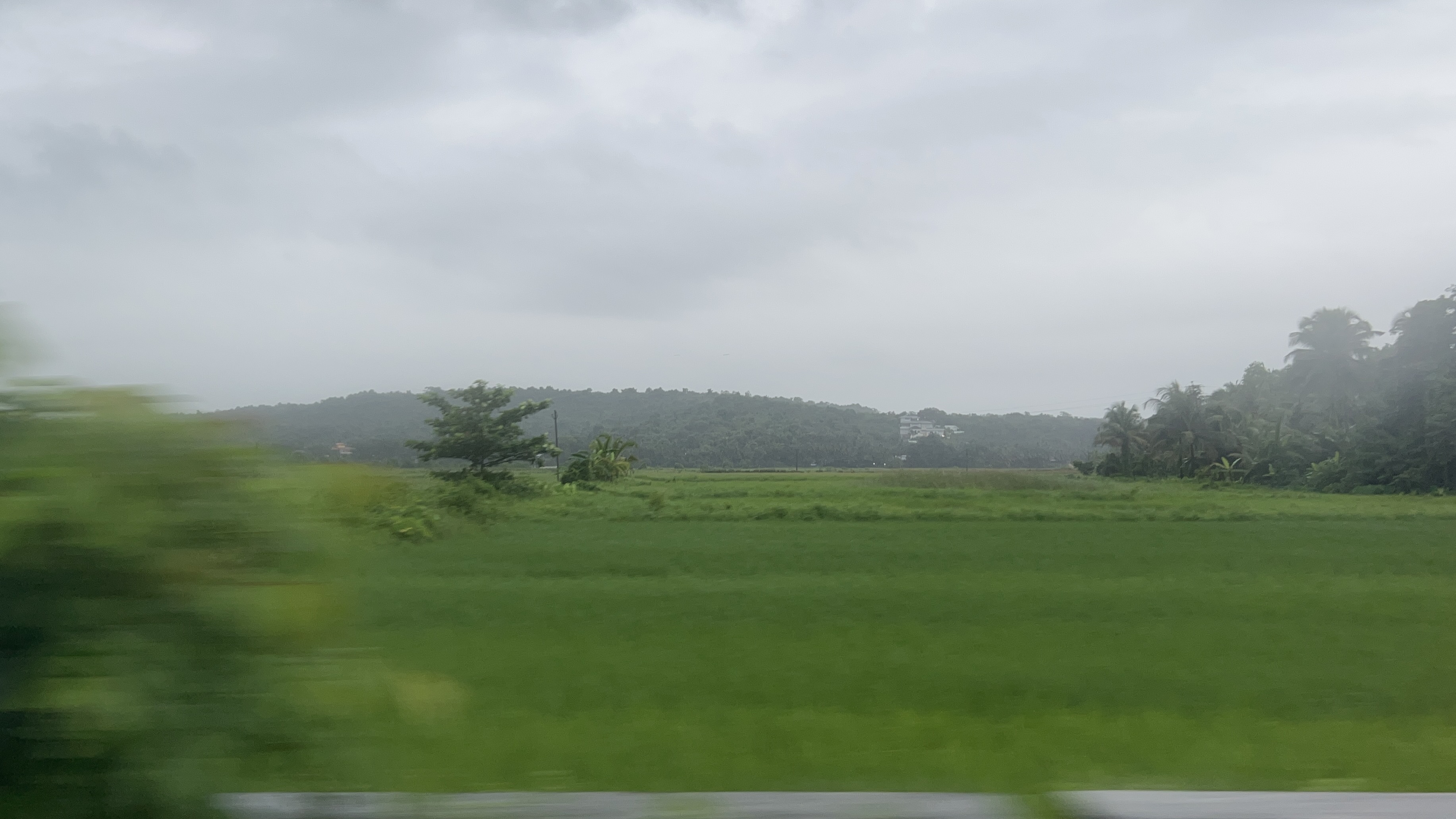 goa